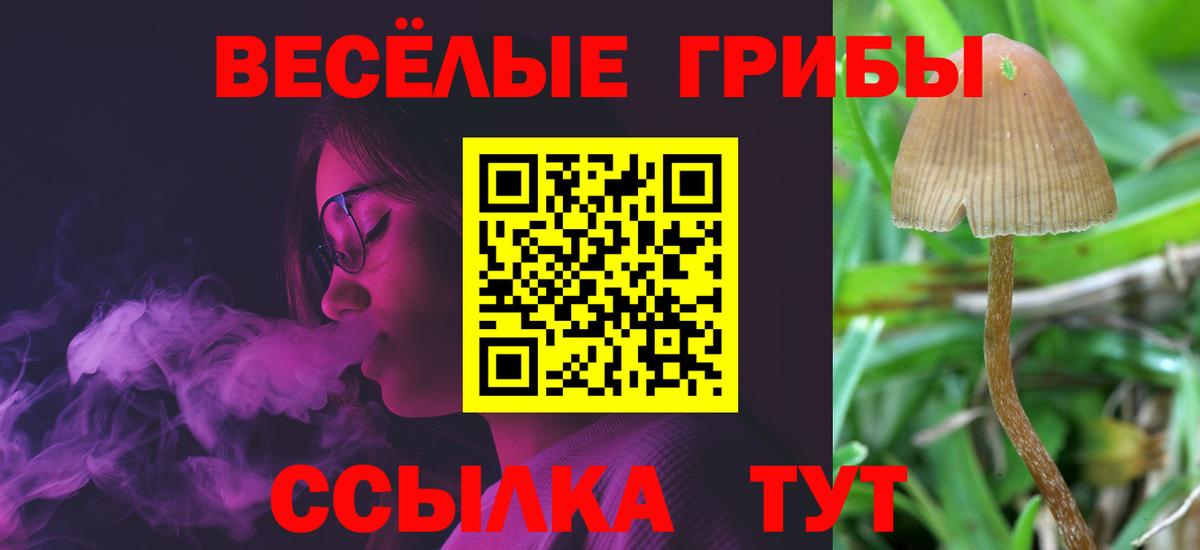 Псилоцибиновые грибы MAGIC MUSHROOMS Брянск